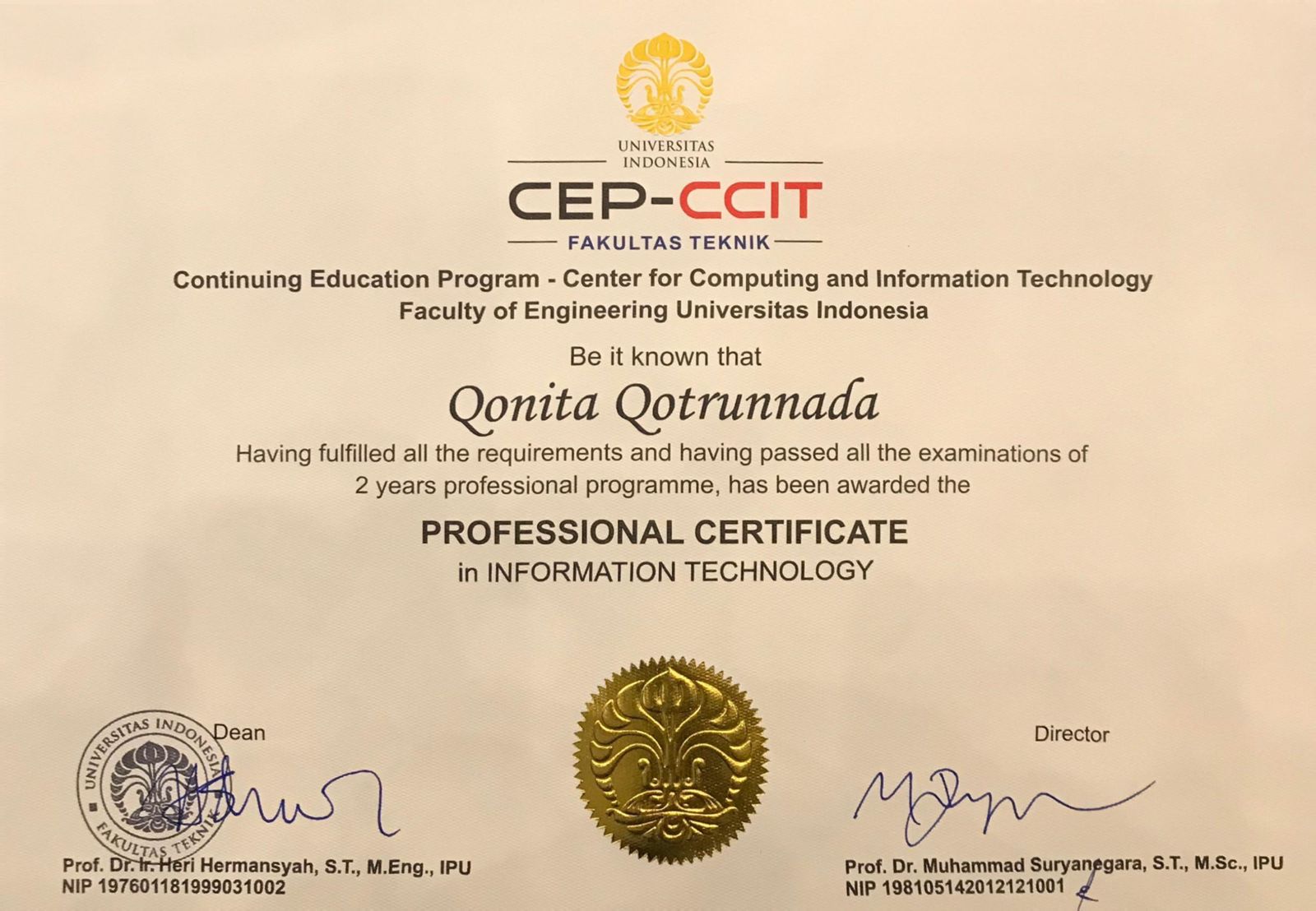 Professional Program CCIT FTUI Certification